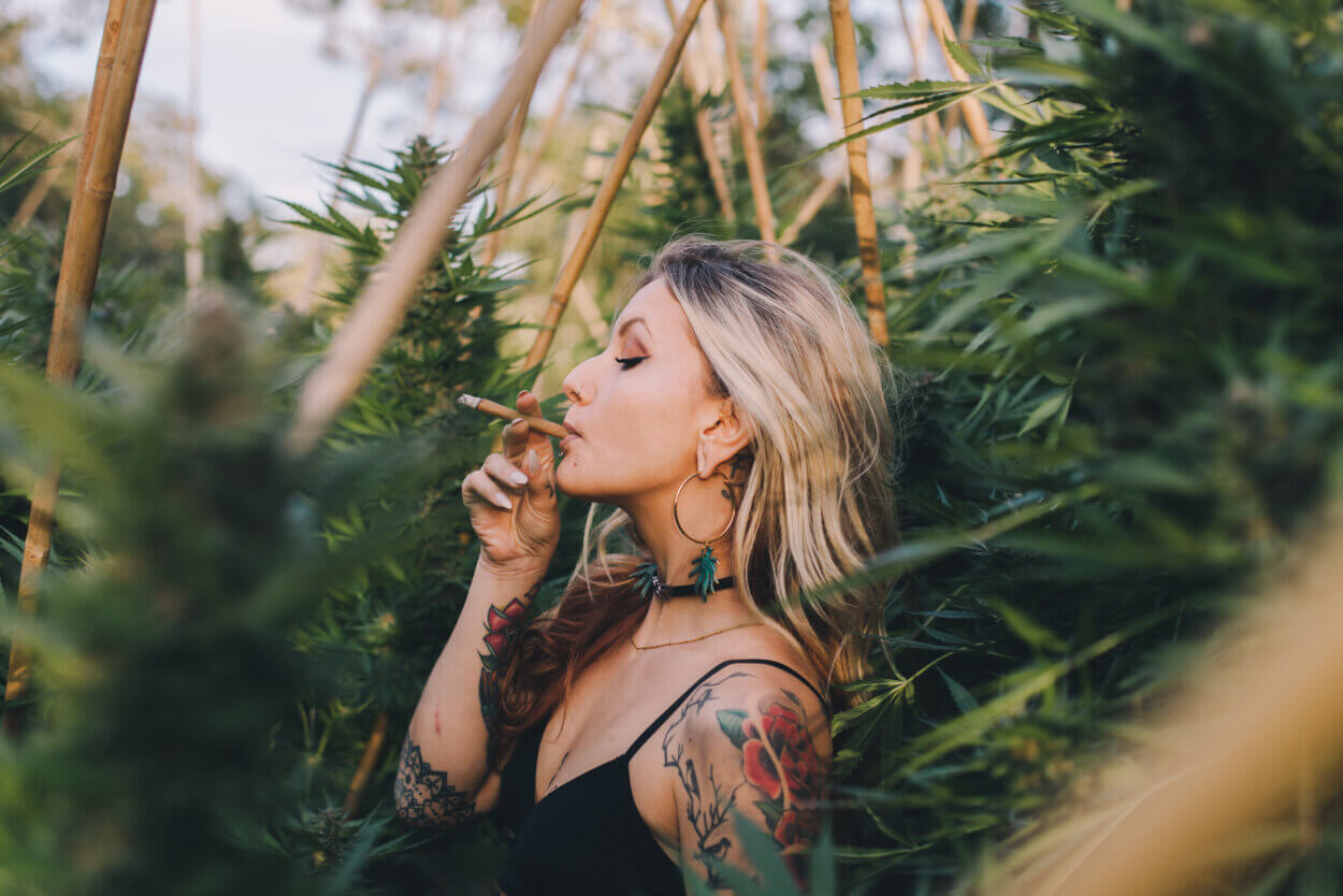 Cannabis konsumieren