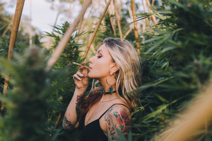 Cannabis konsumieren