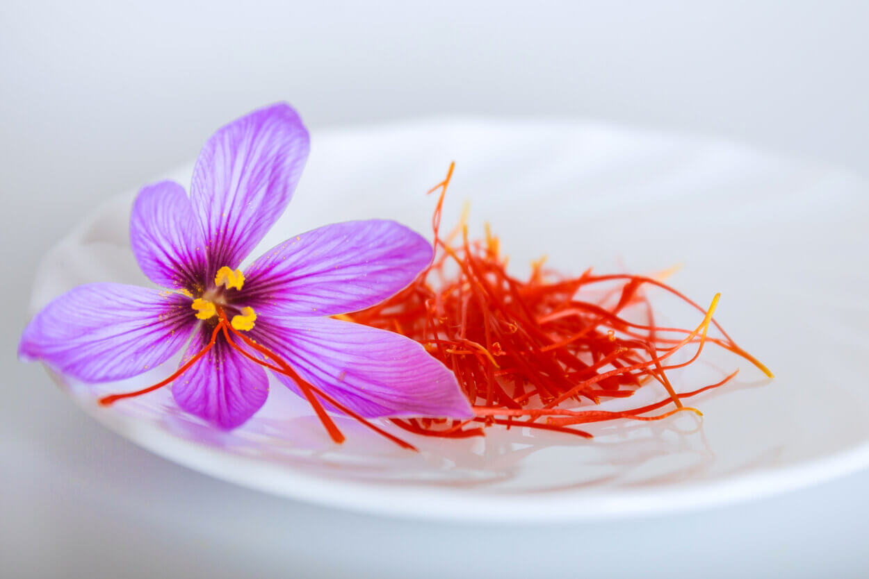 Safran Blüte und Safranfäden