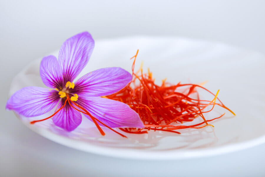 Safran Blüte und Safranfäden