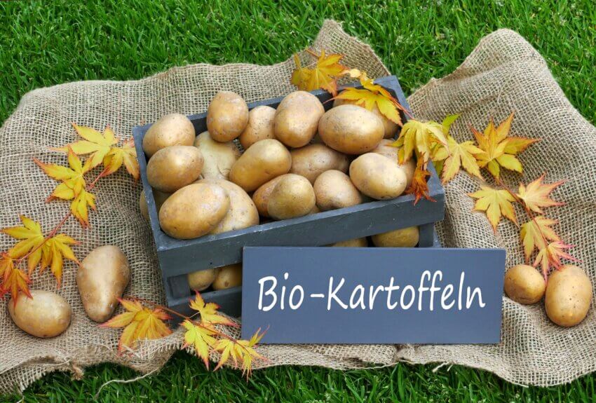 Bio-Kartoffeln sind eine gesunde Entscheidung