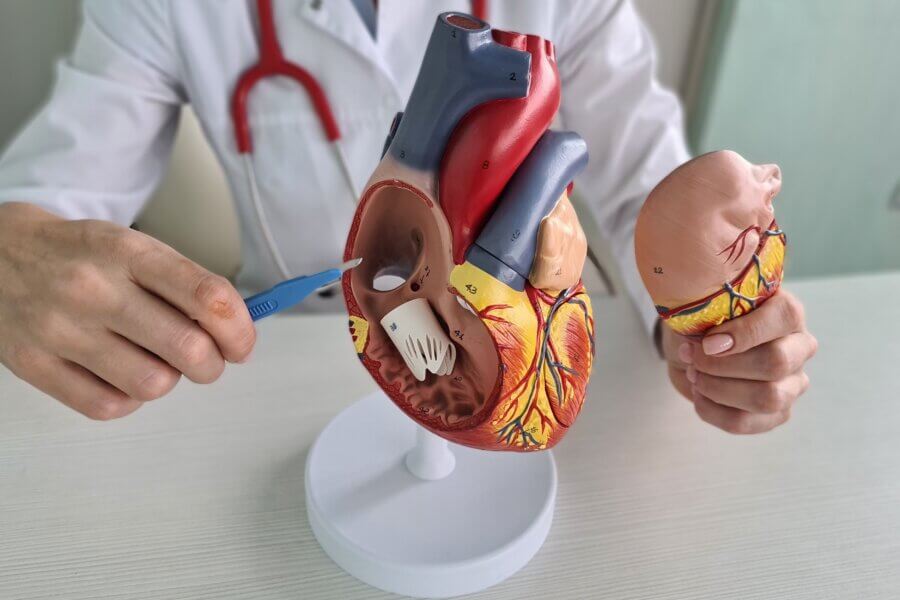 Herzchirurgie