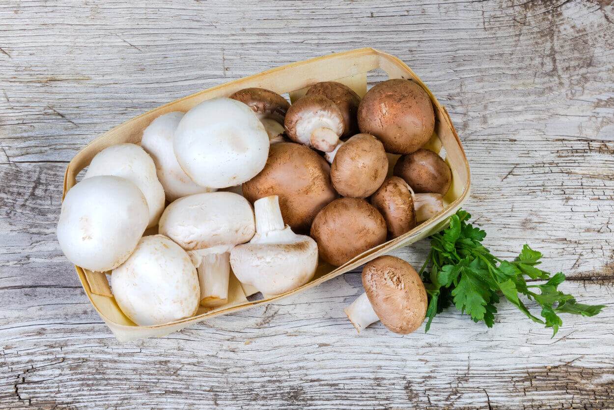 Weiße und braune Champignons