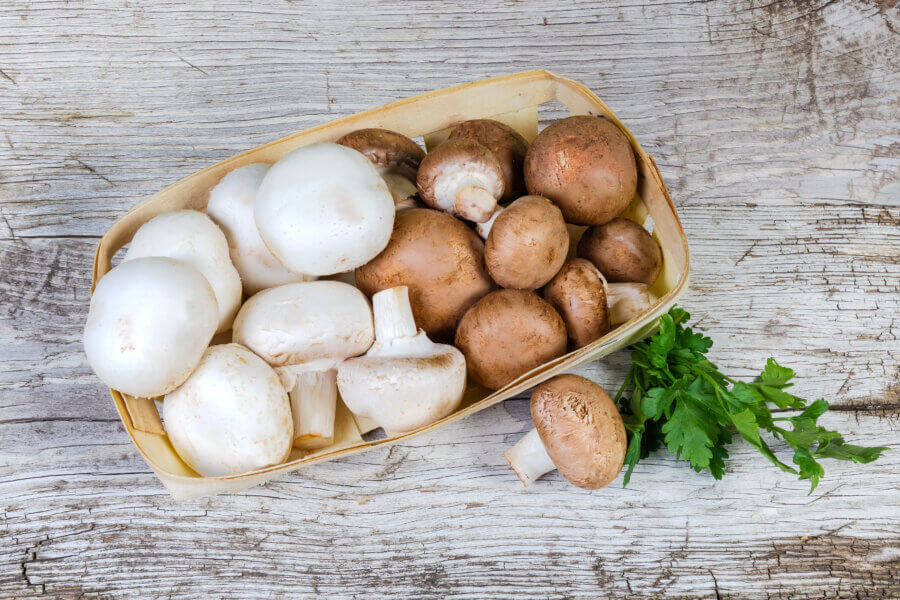Weiße und braune Champignons