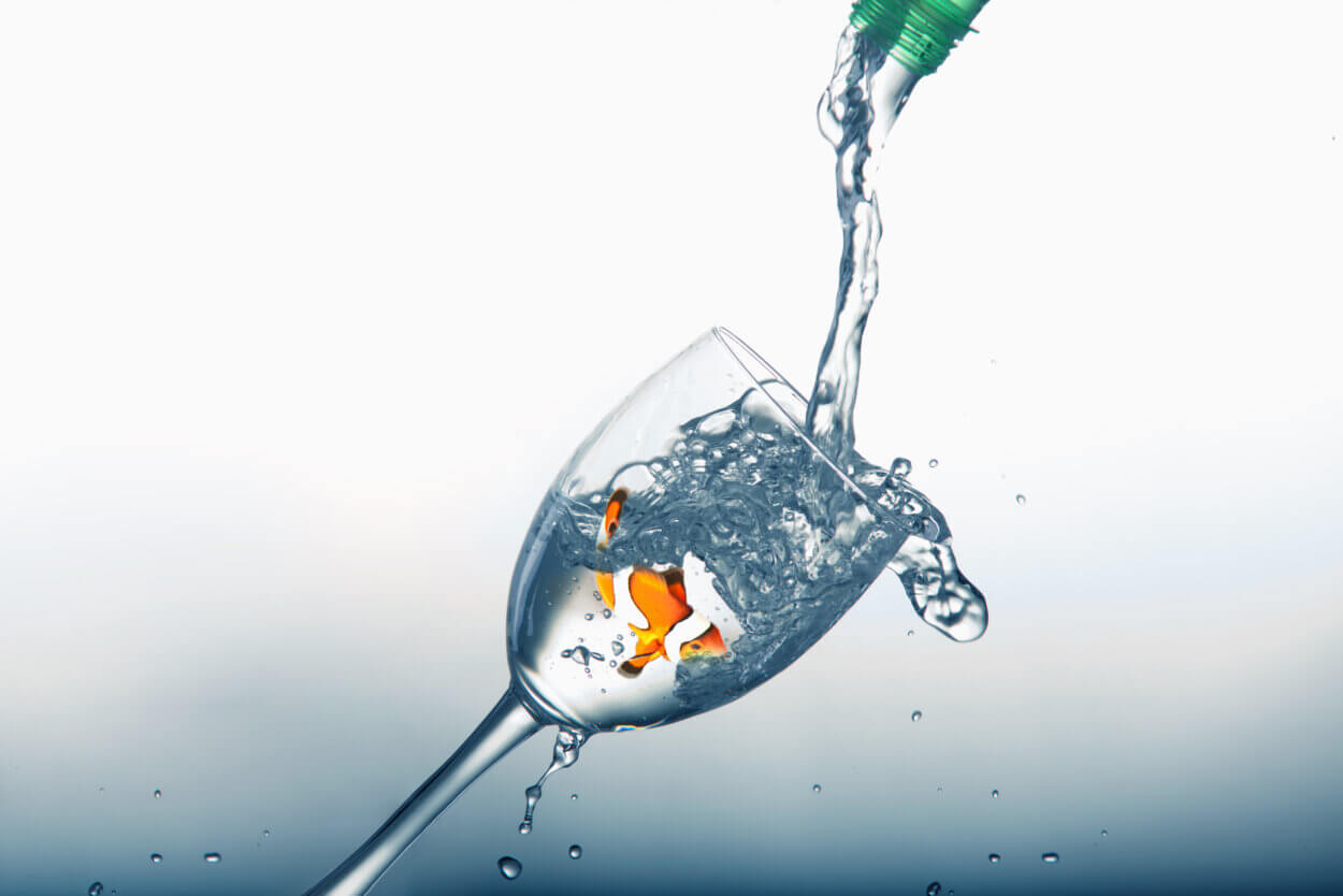 Wasser trinken aus dem Glas