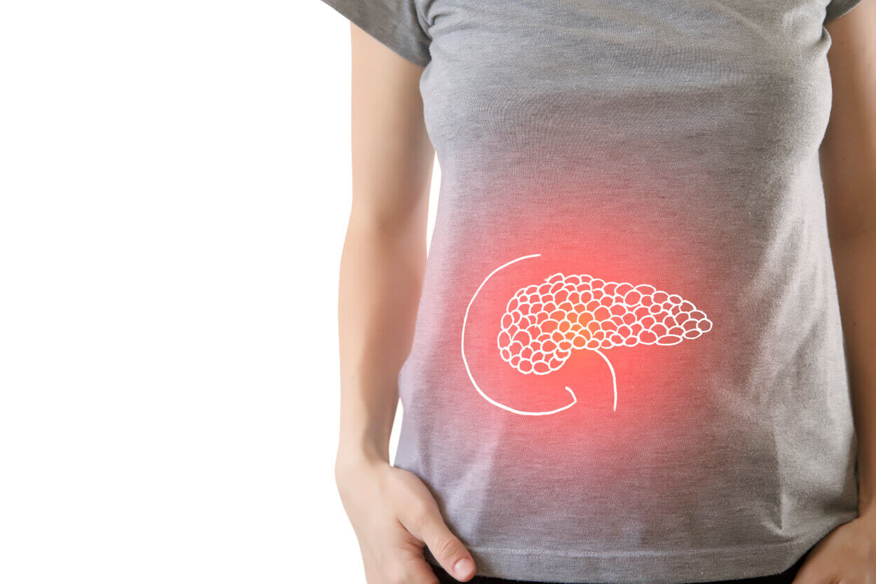 Bauchspeicheldrüsen von Frauen